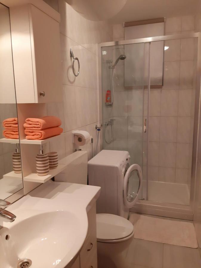 Apartments Agrijan 马斯莱尼察 外观 照片